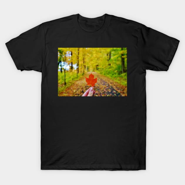 Holding Up a Red Maple Leaf T-Shirt by 1Redbublppasswo